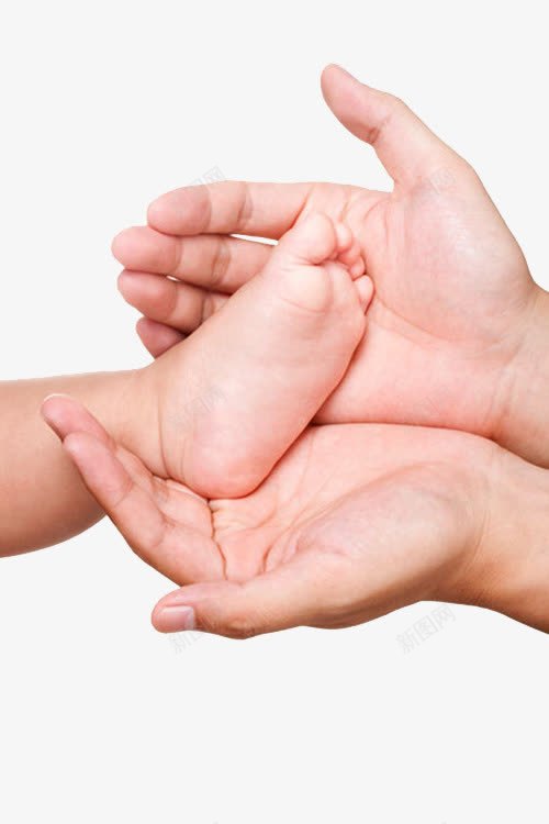 手捧婴儿足底png免抠素材_新图网 https://ixintu.com 婴儿 小脚丫 粉嫩足底 脚丫子 脚底 脚底板 腿部按摩 足底 足底按摩 足底穴位