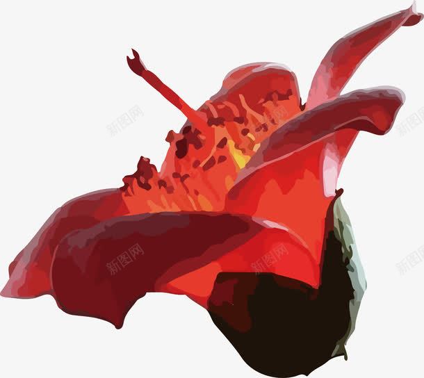 被摘下来的单朵木棉花png免抠素材_新图网 https://ixintu.com 免抠图 单朵 摘下 木棉花 木棉花树 植物 红色 美丽