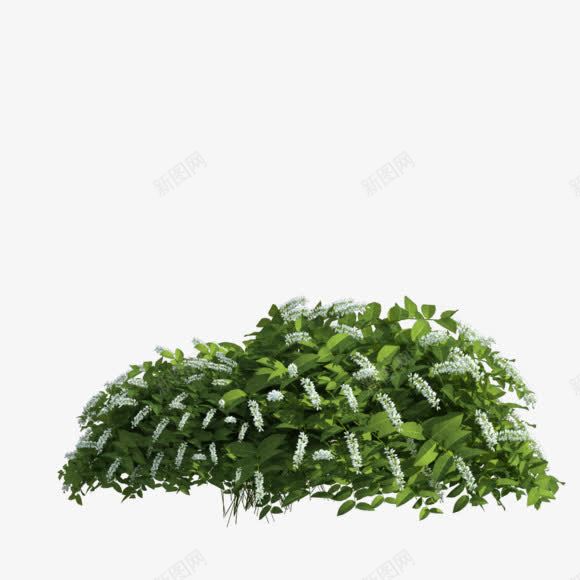 一堆小草png免抠素材_新图网 https://ixintu.com 树叶 绿色 草 鲜嫩的小草