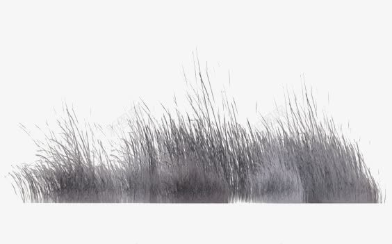 灰色芦苇png免抠素材_新图网 https://ixintu.com 唯美 小草 清新 灰色 芦苇荡