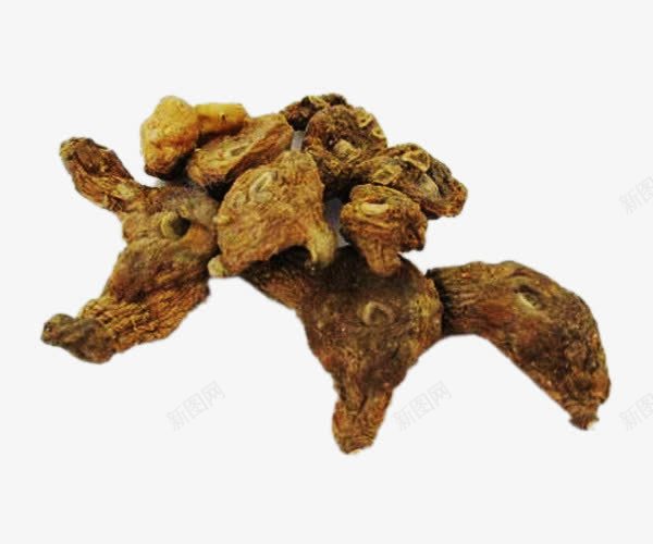 黄精药草干png免抠素材_新图网 https://ixintu.com 植物 药材 药草干 黄精 黄精干