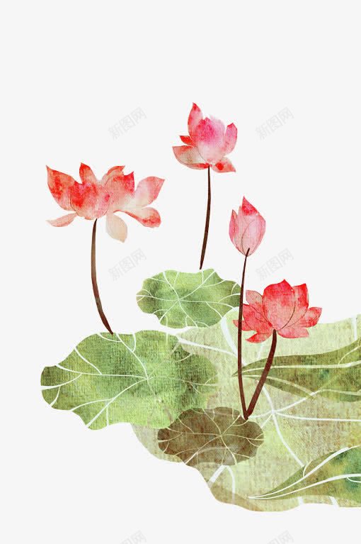粉色的水墨莲花png免抠素材_新图网 https://ixintu.com 水墨 粉色 莲花
