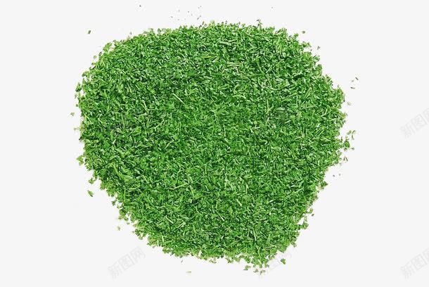 欧芹碎片png免抠素材_新图网 https://ixintu.com 巴西利 旱芹菜 欧芹 欧芹碎片 法香 洋芫荽 洋香菜 荷兰芹 蔬菜