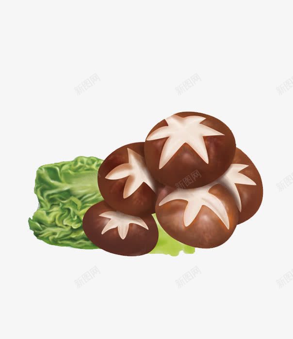 菜叶上的香菇png免抠素材_新图网 https://ixintu.com 可爱香菇 白菜 美味蘑菇 菌类 蔬菜 青菜 食物 香菇