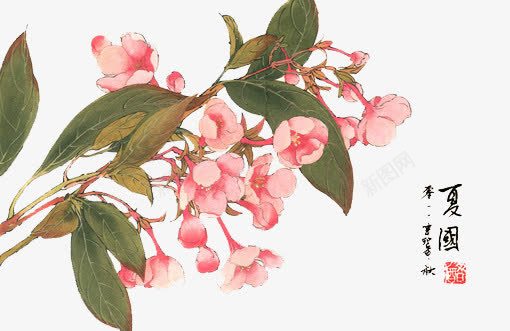 唯美花卉图案中国画花朵png免抠素材_新图网 https://ixintu.com 中国画 唯美 唯美背景图片 工笔画 手绘花朵 手绘花朵图片 手绘花朵图片素材 花朵