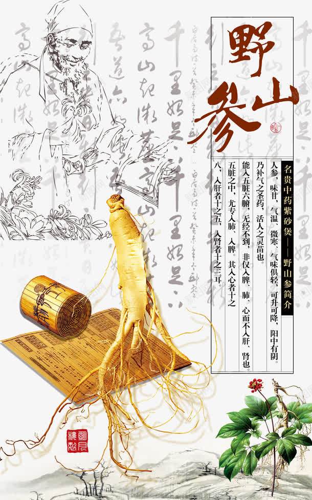 野山参psd免抠素材_新图网 https://ixintu.com 人参 古代人物 竹简 野山参