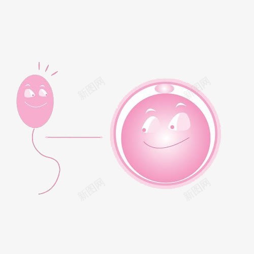 精子与卵子png免抠素材_新图网 https://ixintu.com 孕妇 小宝宝 生小孩子 精子与卵子 肚子 胎儿 胚胎 高清免扣素材