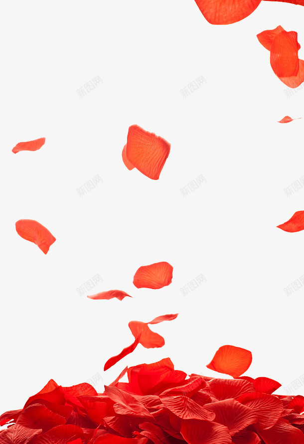 情人节红色玫瑰瓣飘零背景png免抠素材_新图网 https://ixintu.com 情人节 梦幻 浪漫 爱情 玫瑰瓣 玫瑰瓣飘零背景 红色 背景装饰