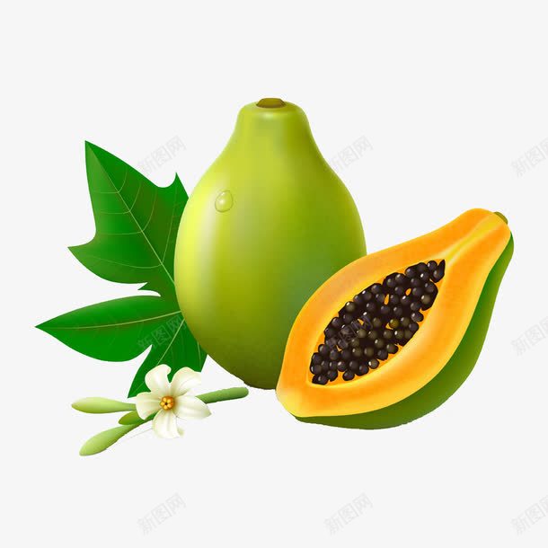 花朵和木瓜png免抠素材_新图网 https://ixintu.com 果实 绿叶 露珠