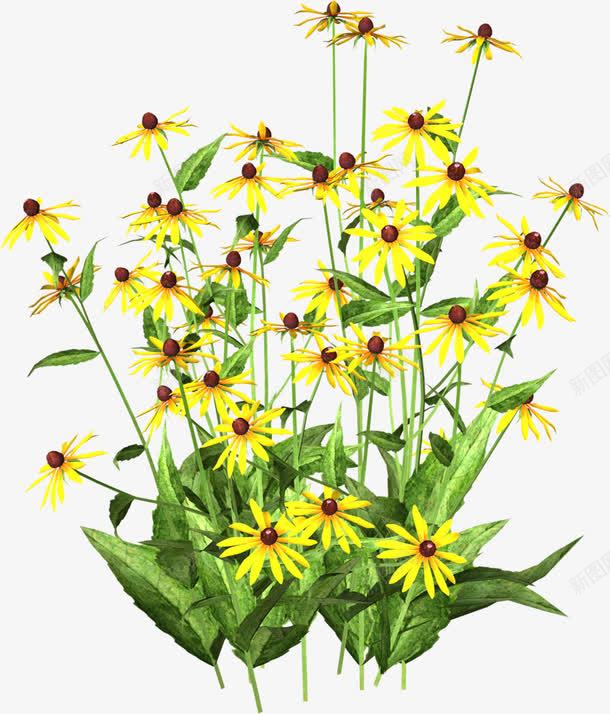 野菊花png免抠素材_新图网 https://ixintu.com 手绘 野菊花 黄色