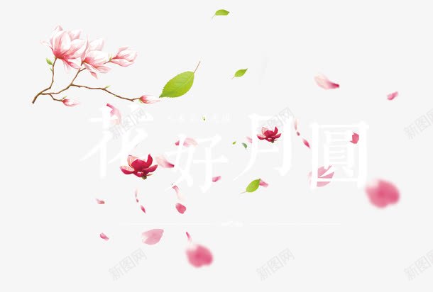 花好月圆png免抠素材_新图网 https://ixintu.com 中秋节 白色 纷飞 艺术字 花瓣 赏月 赏花