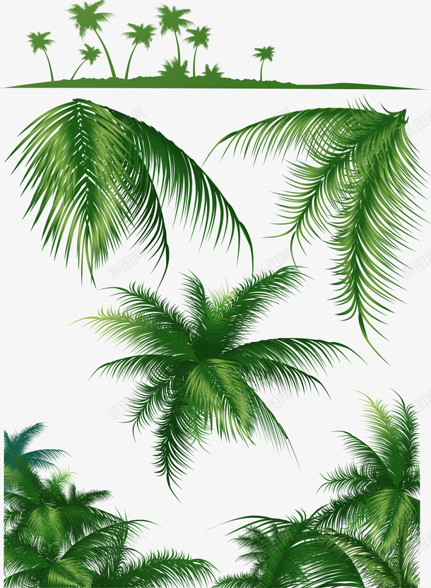 手绘绿色椰树叶片png免抠素材_新图网 https://ixintu.com 叶片 植物素材 椰树