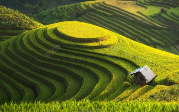 唯美丘陵梯田风景jpg设计背景_新图网 https://ixintu.com 丘陵 梯田 风景