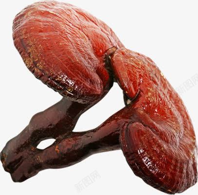 红色林芝药物png免抠素材_新图网 https://ixintu.com 林芝 红色 药物