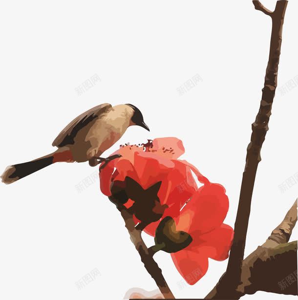 雨后木棉花树上的小鸟png免抠素材_新图网 https://ixintu.com 小鸟 木棉花 木棉花树 树枝 植物 红色 绿色 雨后木棉花树上 风景