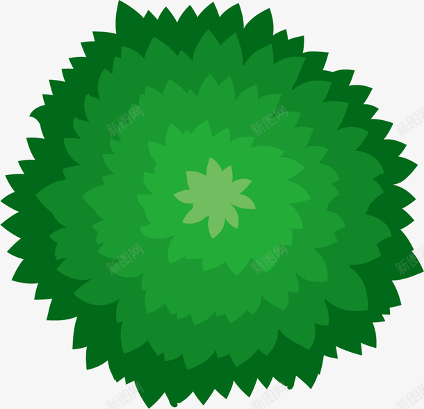 墨绿色描边俯视图png免抠素材_新图网 https://ixintu.com ps植物平面贴图 卡通风格 墨绿色 扁平风格 描边 植物俯视图 植物平面