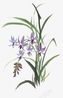 紫色水仙花png免抠素材_新图网 https://ixintu.com 手绘 水仙花 水墨 紫色