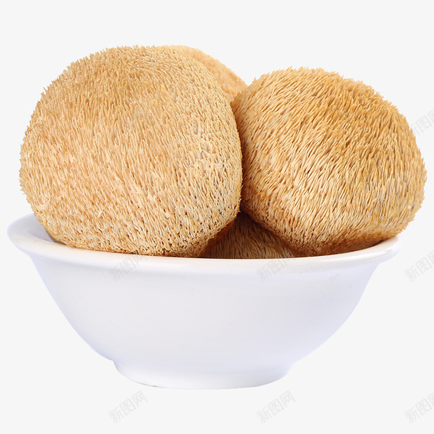 猴头菇干货png免抠素材_新图网 https://ixintu.com 产品实物 农家特产 干货 猴头 猴头菇 猴头菇干货免抠PNG 猴菇 菌菇 蘑菇