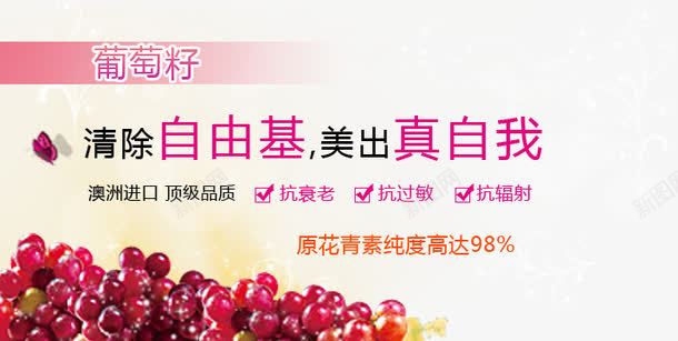 葡萄籽化妆品png免抠素材_新图网 https://ixintu.com 抗衰老 清除自由基 美出真自我 葡萄