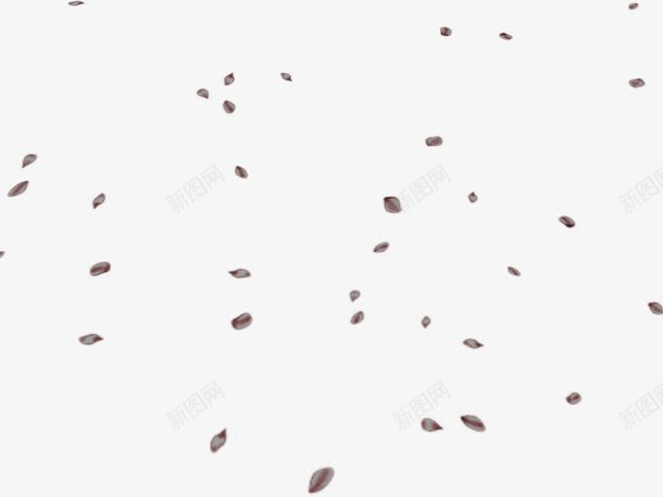 星星点点的灰色花瓣雨png免抠素材_新图网 https://ixintu.com 一朵朵 星星点点 洒落花瓣 灰色 花瓣 花瓣掉落 花瓣遍地 雨