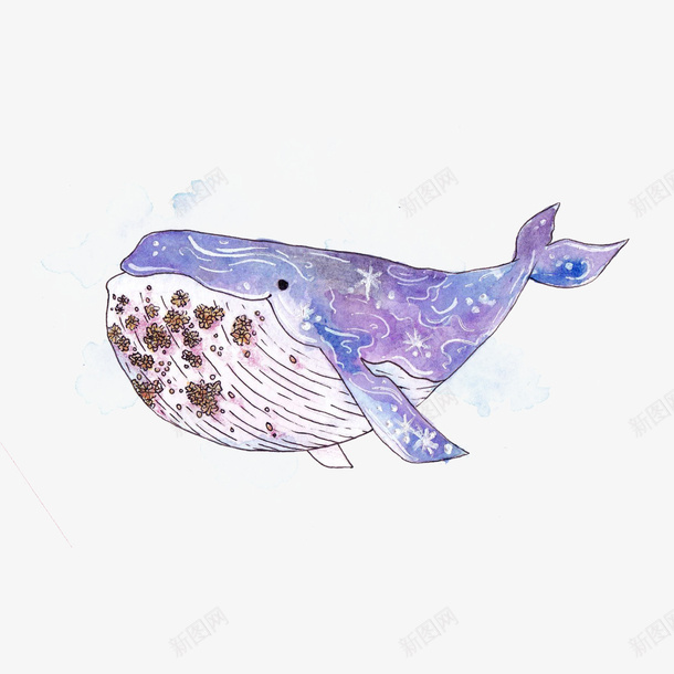 手绘一只巨大的蓝色花纹座头鲸插png免抠素材_新图网 https://ixintu.com 大型生物 座头鲸 手绘 手绘一只巨大的蓝色花纹座头鲸插画设计免抠免费下载 插画 水彩 科学 自然 花纹 设计 鲸类 鲸鱼