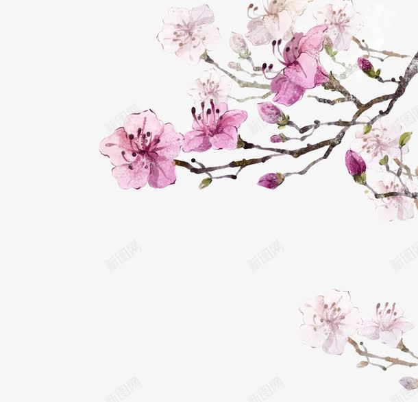 韩版手绘花朵背景png免抠素材_新图网 https://ixintu.com 手绘花朵 樱花 粉色花朵