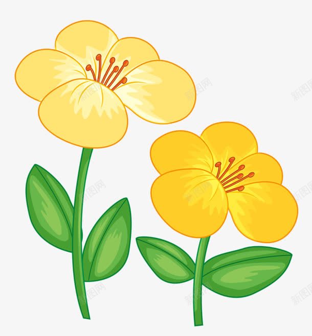 两朵小黄花png免抠素材_新图网 https://ixintu.com 植物 绿叶 花卉 花朵 装饰