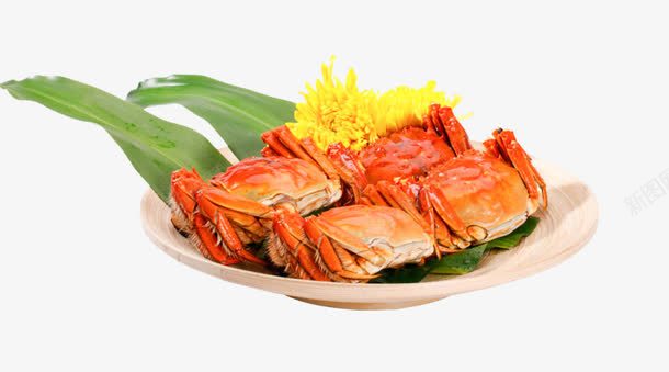 大闸蟹螃蟹中秋食物png免抠素材_新图网 https://ixintu.com 中秋 螃蟹 闸蟹 食物