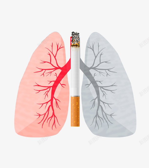 创意肺部吸烟有害健康图标png_新图网 https://ixintu.com 吸烟后的肺部对比图 世界无烟日 创意设计 吸烟有害健康 图标 肺部 香烟