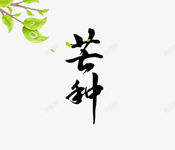 芒种艺术字png免抠素材_新图网 https://ixintu.com 二十四节气 叶子 字体 水珠 芒种 黑色