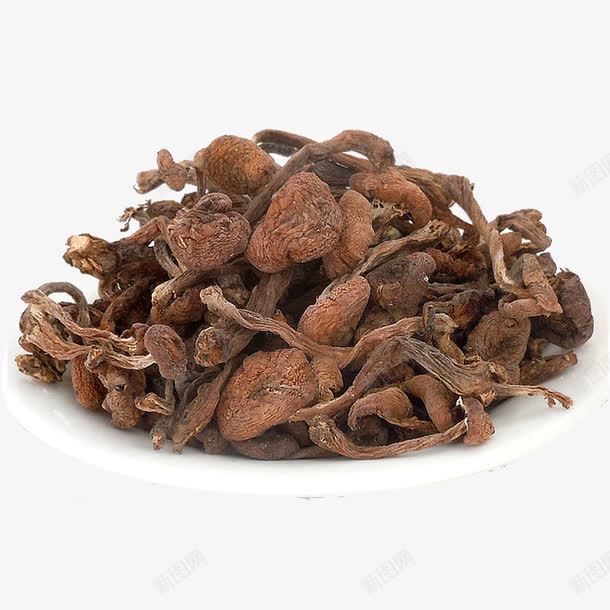 茶树菇png免抠素材_新图网 https://ixintu.com 产品实物 干货 菌类 褐色