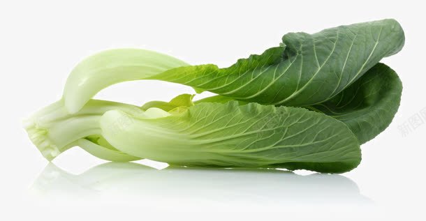 新鲜的油菜蔬菜png免抠素材_新图网 https://ixintu.com 叶子图片 新鲜的油菜蔬菜 油菜新鲜蔬菜 生菜新鲜蔬菜 菜叶菠菜 蔬菜叶子