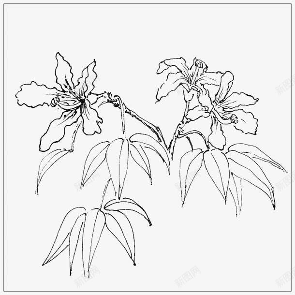 木棉花简笔中国风画png免抠素材_新图网 https://ixintu.com 中国风 木棉 木棉花 木棉花树 简笔 装饰 黑白画
