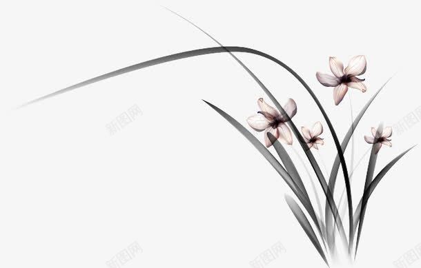 兰花png免抠素材_新图网 https://ixintu.com 兰花 水墨画 背景装饰 花卉 花朵