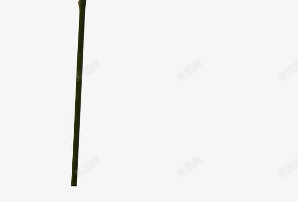花径白粉绽放花朵png免抠素材_新图网 https://ixintu.com 白粉 绽放 花朵