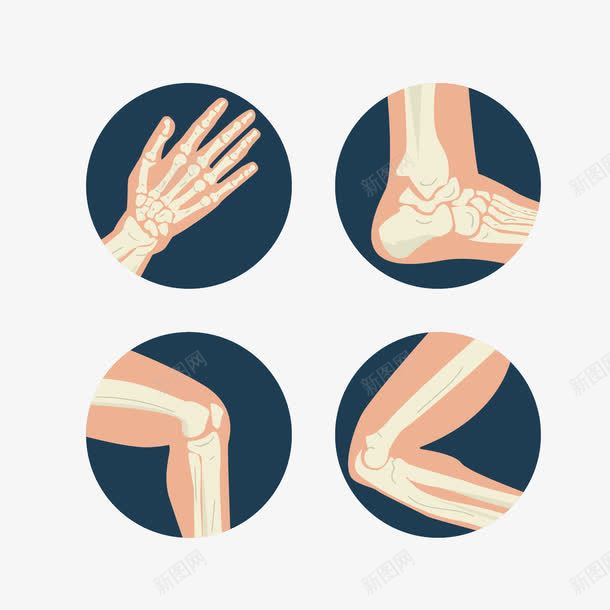 人体骨骼png免抠素材_新图网 https://ixintu.com X光照射 手脚骨骼 拍X光线 拍片子 拍片检查