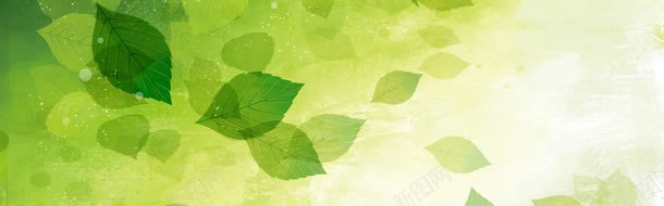 边饰绿叶横幅绿色jpg设计背景_新图网 https://ixintu.com 横幅 绿叶 绿色 边饰