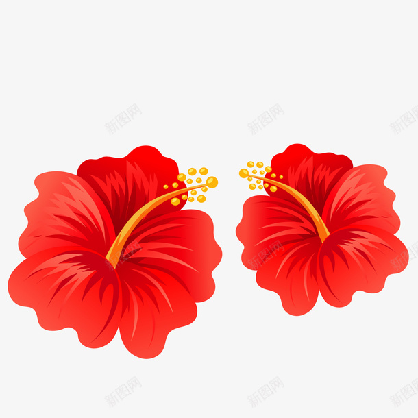 红白色两朵卡通扶桑花矢量图ai免抠素材_新图网 https://ixintu.com 卡通 卡通扶桑花 扶桑花 白色 红色 红色扶桑花 矢量图