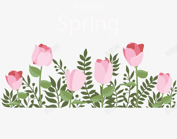 粉红玫瑰你好春天png免抠素材_新图网 https://ixintu.com hellospring 你好春天 浪漫玫瑰 玫瑰花丛 矢量png 粉玫瑰 花丛贴图