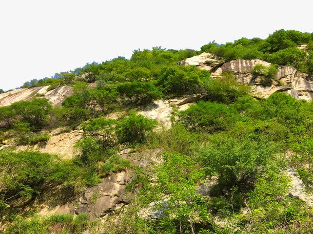 石山悬崖摄影png免抠素材_新图网 https://ixintu.com 大山 岩石 悬崖 摄影 树木 石头山 石山 秦岭 自然景观 蓝天