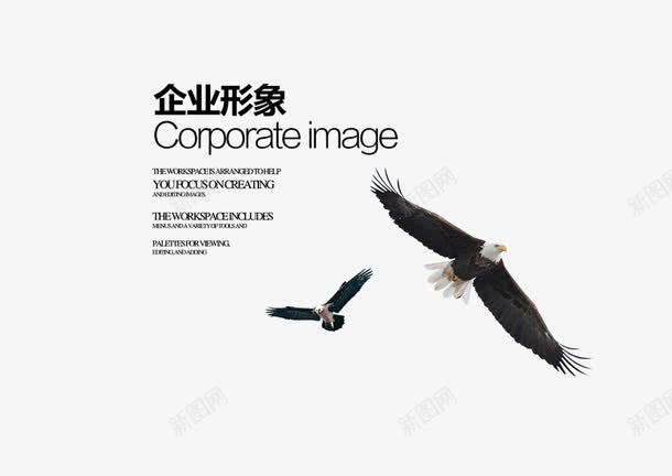 企业形象psd免抠素材_新图网 https://ixintu.com 商务 彩色 海报 艺术字 英文 装饰 鹰