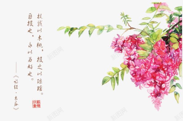 诗经花朵插画配图png免抠素材_新图网 https://ixintu.com 卡通 卡通插画 古风 唯美 手绘 花卉 诗歌 诗经 诗词