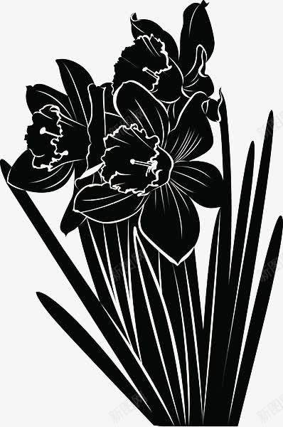 黑色水仙花手绘剪影图标png_新图网 https://ixintu.com 植物 水仙花剪影 线描花矢量图 线条手绘 花卉 花叶剪影背景图 黑色手绘