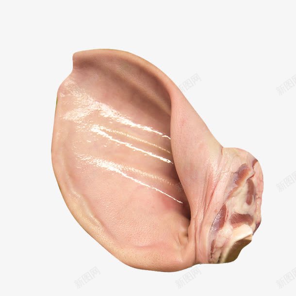 一只猪耳朵png免抠素材_新图网 https://ixintu.com 产品实物 猪肉 耳朵 食物