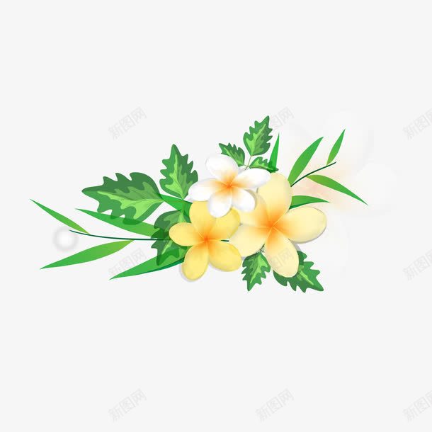鸡蛋花png免抠素材_新图网 https://ixintu.com AI 下载 免抠 鸡蛋花 黄花