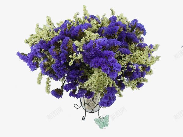 熏衣草花束png免抠素材_新图网 https://ixintu.com 干花花束 干花花艺 晒干花束 熏衣草干花装饰 紫色浪漫梦幻花朵
