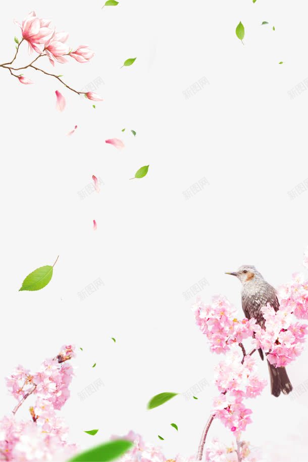 阳春三月赏花节海报背景png免抠素材_新图网 https://ixintu.com 三月 小鸟 春季 海报 节日 花朵 花瓣 赏花