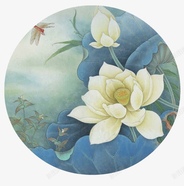 白色荷花儿png免抠素材_新图网 https://ixintu.com 工笔荷花 白色 荷花 莲花 蜻蜓