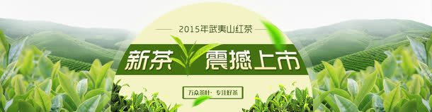茶叶png免抠素材_新图网 https://ixintu.com 文案排版海报banner 茶叶 茶园 茶山