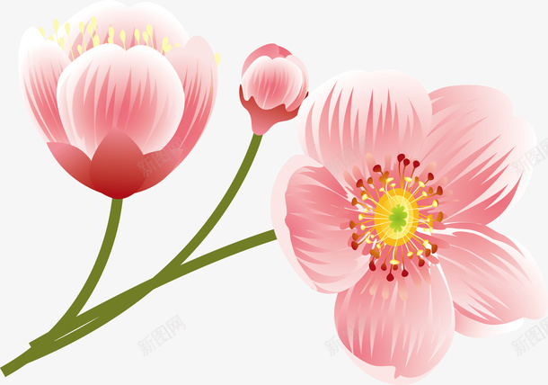 桃花枝水墨粉红桃花矢量图ai免抠素材_新图网 https://ixintu.com 三生三世桃花 小桃花 暗恋桃花源 桃花水 桃花简笔 桃花花落 水墨桃花花瓣 灯笼桃花 白桃花 素描桃花 矢量图